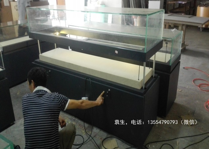 電動(dòng)升降博物館展柜